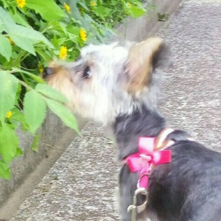 D7b9fe1f 493d 43ee 8b5c 1a0335311b66 1534580013699