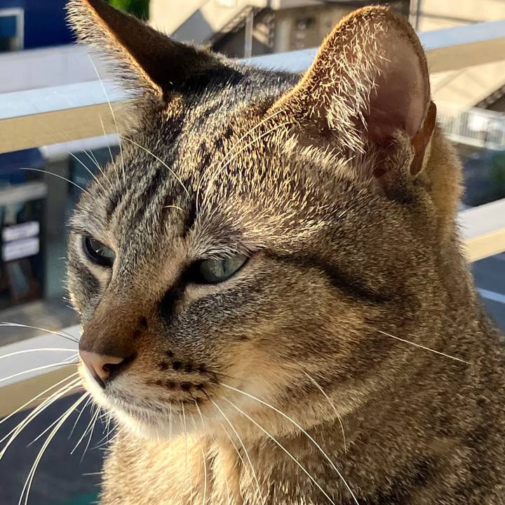 D7ba0ff5 07e9 4813 ab6d 2b4e1a966d0f 1763159054412