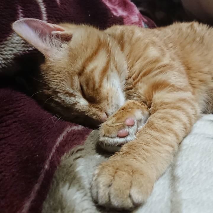 D7ba2094 6a92 46bc b68a 61adddf34636 1636891978052