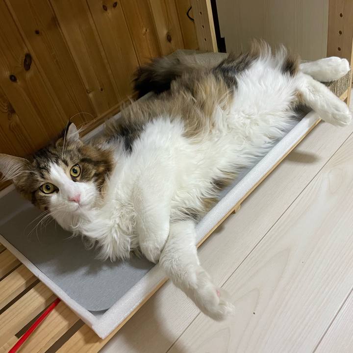 D7ba33d6 a977 4879 a41e 6ddca38d9462 1643660043199