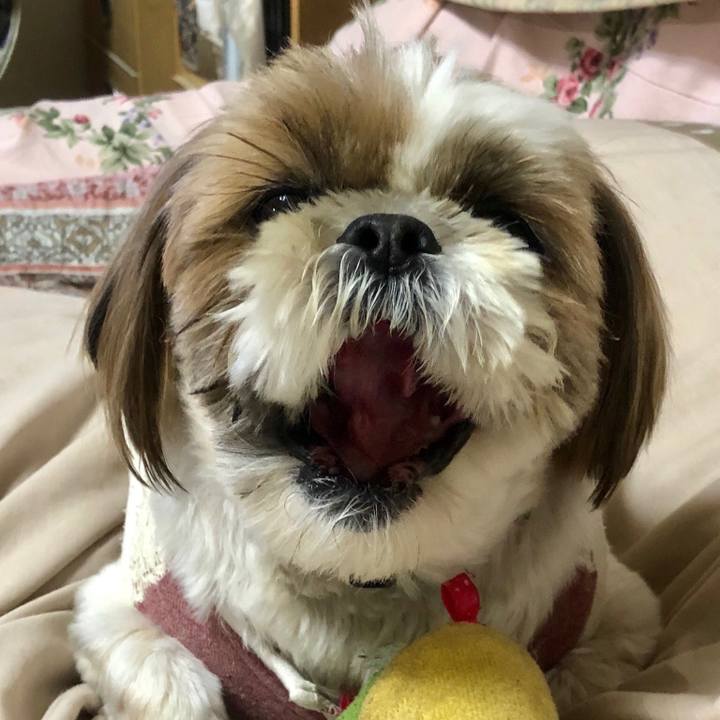 D7ba8f88 d20d 4c7f 8b72 675e54a0e753 1524972051230