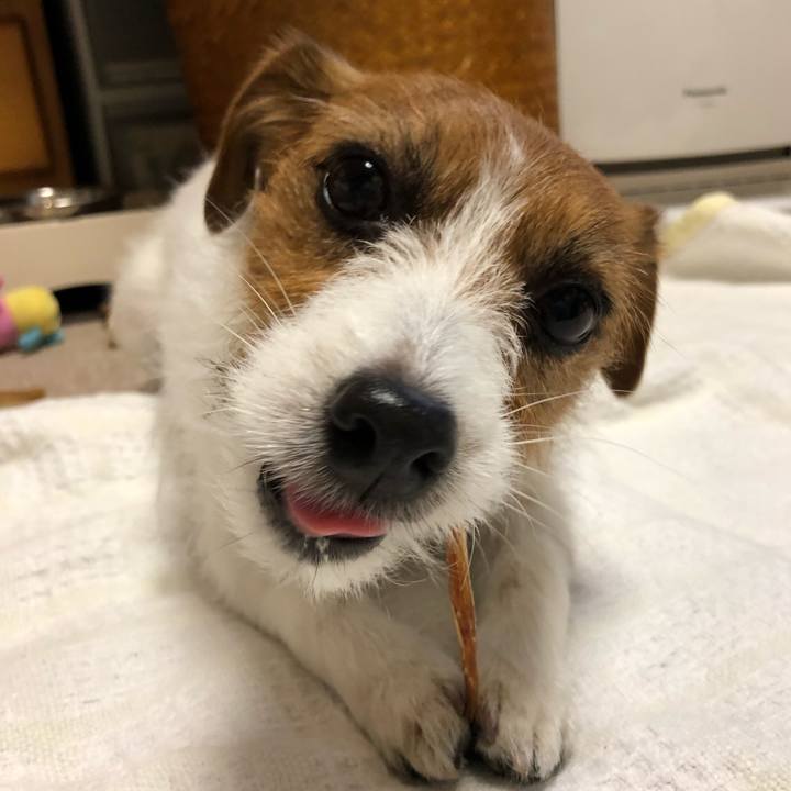 D7bab880 d9a8 4e18 a731 f9930eef8c3f 1518417823347