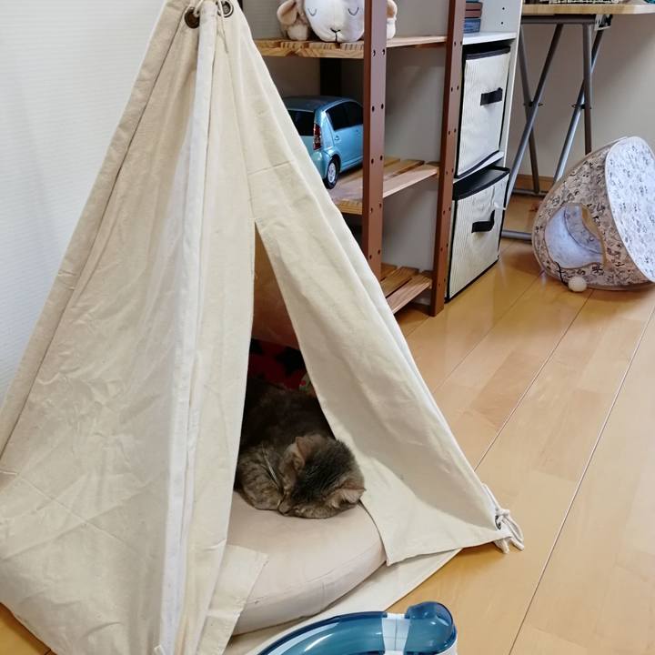 D7babd07 481f 4870 80fd c2ee78479cbb 1541057038495