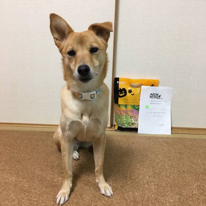 D7bacf24 990b 40d4 92b2 e6cbf5b2984a 1541158636865