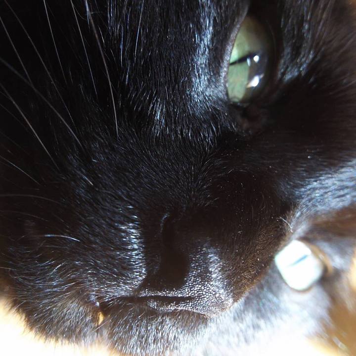 D7bb066b 2839 415e bf86 2b126ae20a17 1566045854583