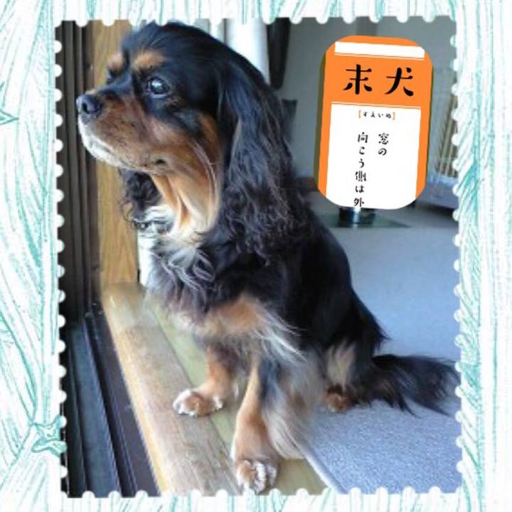 D7bb2438 b535 46f3 82b8 a40792d28778 1515395598581