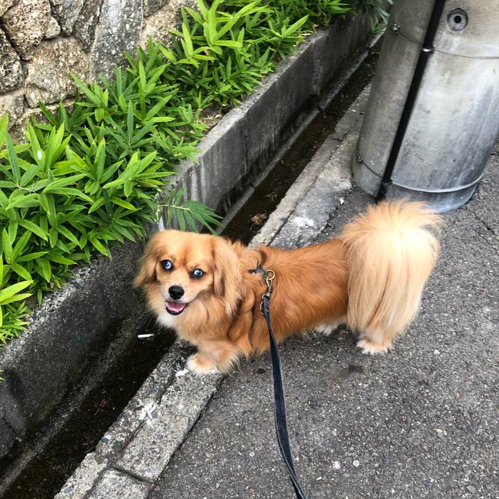 D7bb5063 9066 464d b917 ddda53389168 1532556477695