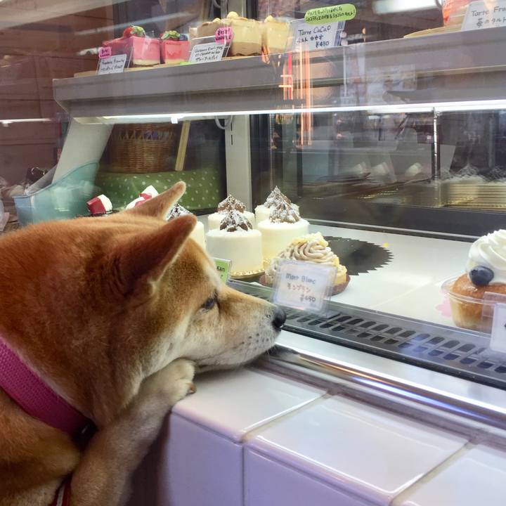 D7bb64c9 6eea 416f 8f98 8fd31fff6936 1527246928554