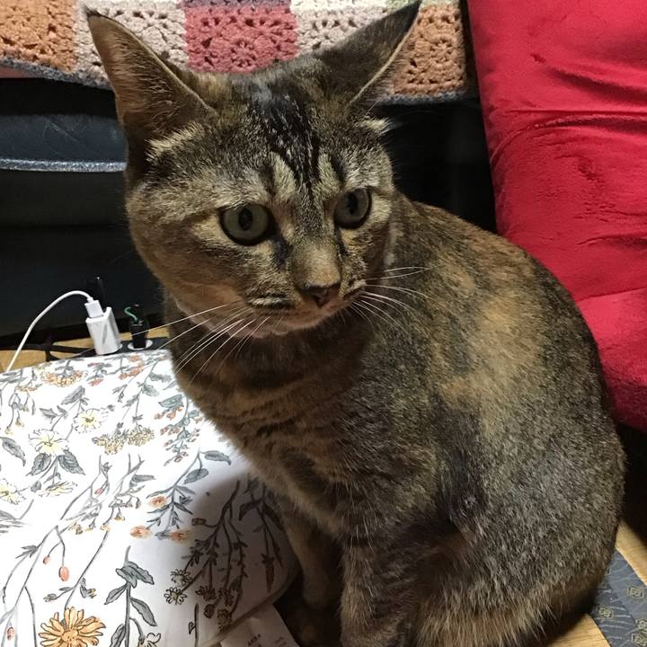 D7bb6a9a f6d6 42df 8520 27dcd448abfb 1695376702296