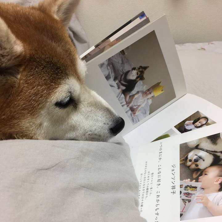 D7bb7521 7304 46da 8c10 99da07d8128a 1523811617461