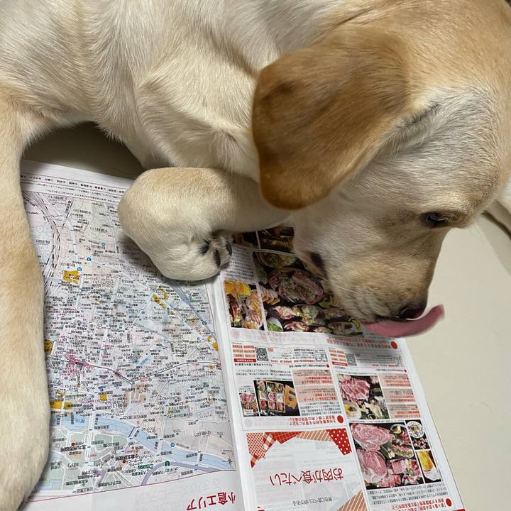 D7bbb2f8 2cfe 46a6 8267 d2c3d6dbcb54 1642238839708