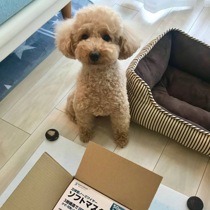 D7bc05b0 f01d 486f b8af cbd93468cc9e 1590723043407