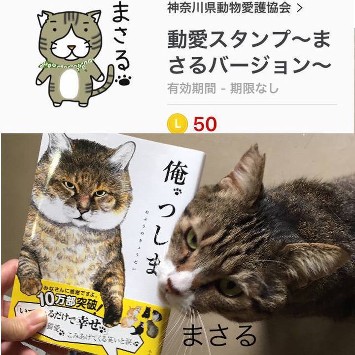 D7bc0872 3f36 48f2 bb3b 50e4288b450e 1547549345070