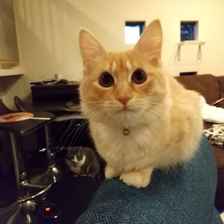 D7bc21b9 1a3b 46e0 a8e6 4746110f3601 1612820663514