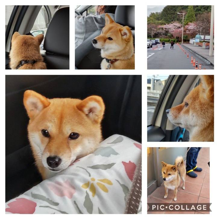 D7bc3f19 9c59 4763 9b34 25c65894b72c 1648210590862