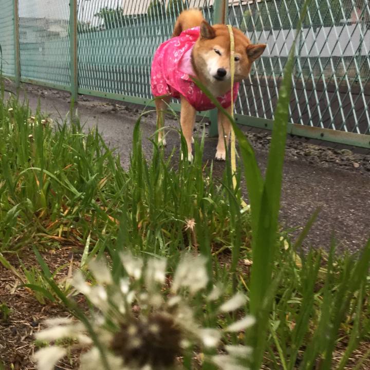 D7bc52b9 882e 4f19 8e5d 9f5e07cccd46 1588753540284