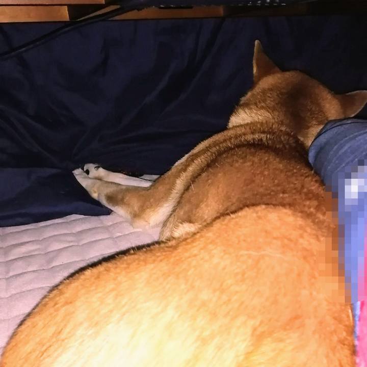 D7bc65f1 1b4d 4eb3 974e 6360315d2e05 1608257437798