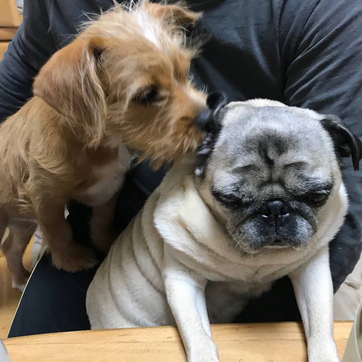 D7bc6a66 905a 401b 8519 961e8632bafa 1521679628135