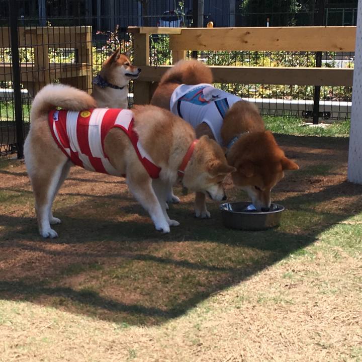 D7bc6e67 bbdc 467a b226 6608023c0fa3 1560677049957