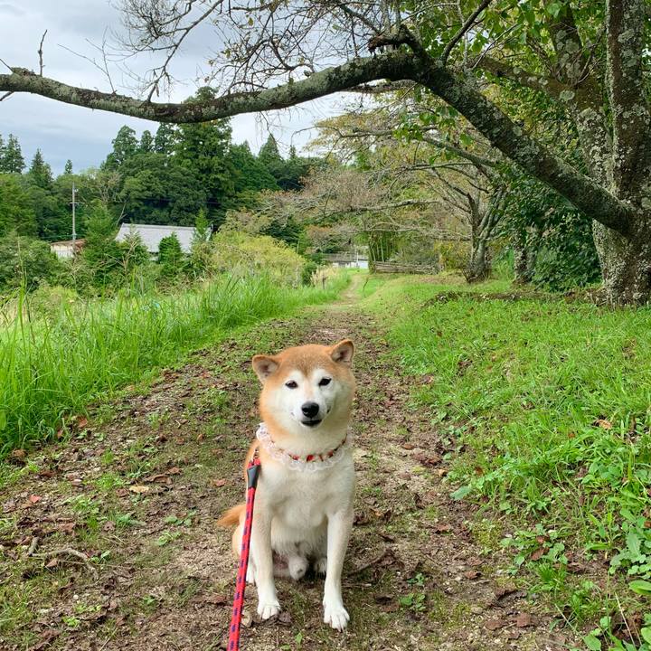 D7bce250 9239 4f38 9675 6e3c9abcfba1 1663404375573