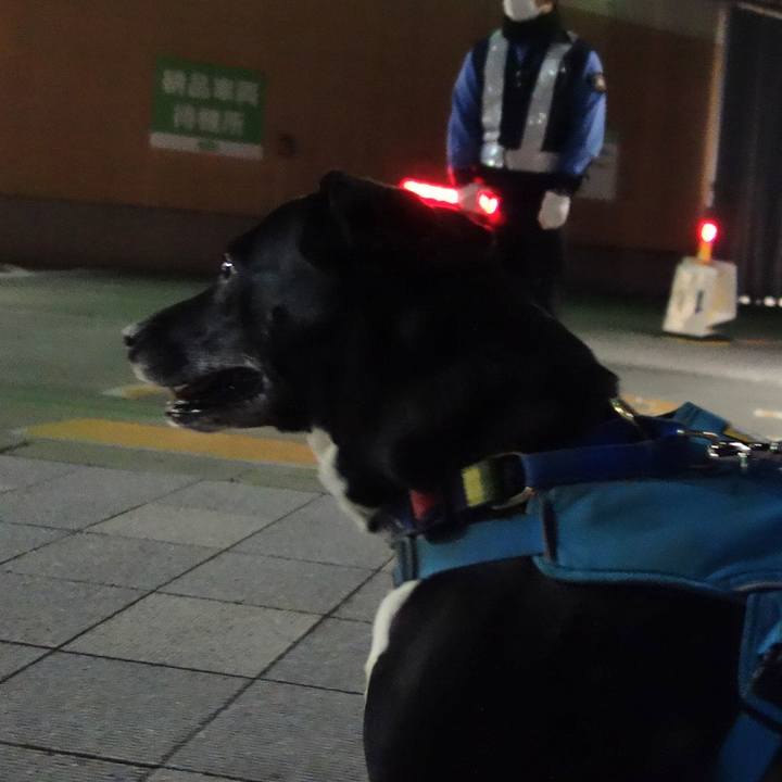 D7bd11e0 e9a6 4591 8fd3 8aac3201bc0e 1678878993183