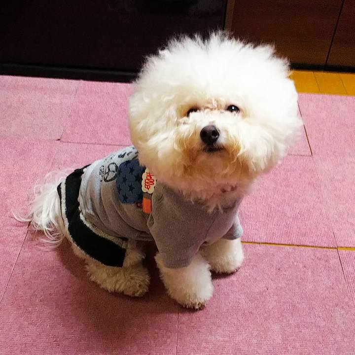 D7bd3ce2 6903 42b0 ad7f 64c2ea6e0c0b 1544793644080