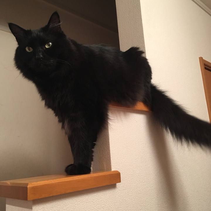 D7bd4efc d561 4f74 bdda 5f9fad7be0fe 1532263711292