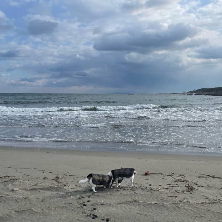 D7bd7abd 23a4 4e8a a44f 0f02b3b7bafa 1743379273621