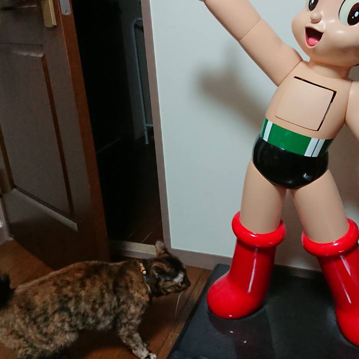 D7bdb981 d088 4a1f 86e6 aeb4f8a32c4b 1602203671217