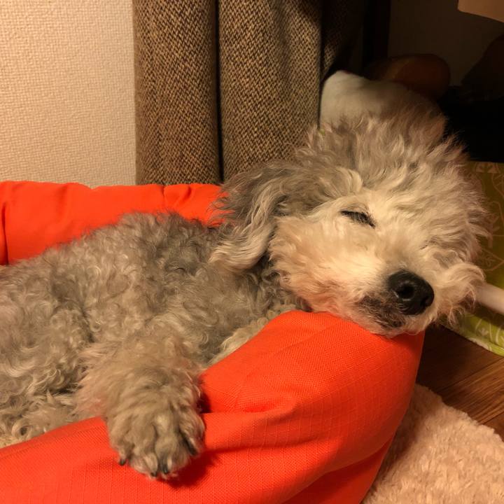 D7bdd872 658f 43f4 8de7 32167bf342ca 1552398668258