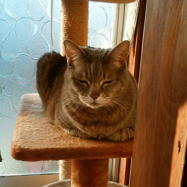 D7be3224 7724 4762 8c3f 9ba0c3992e03 1522273540933