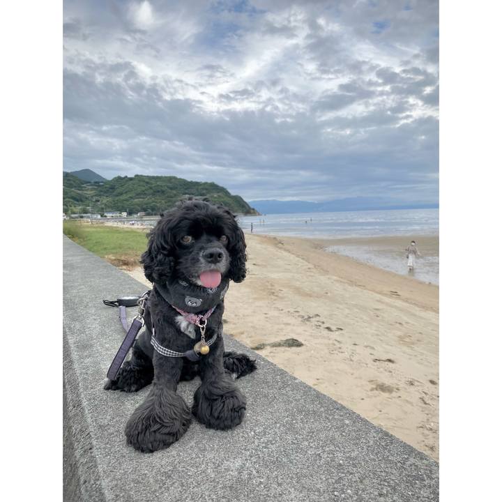 D7be386e 63f1 4192 84f2 3d7eee8daa2f 1629021335964