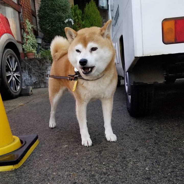 D7be38c9 956c 4957 a427 8048993dd1f0 1604454856903