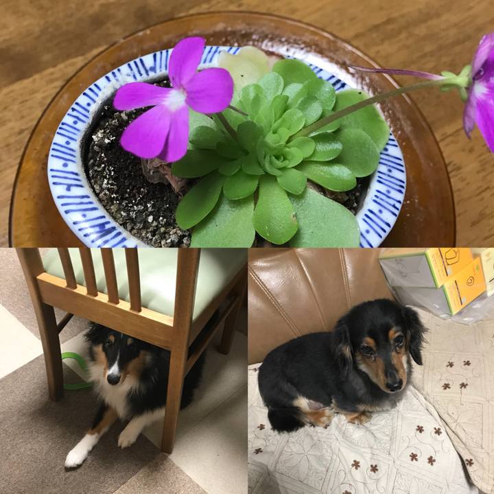 D7be466f d805 4107 82d7 9352438812fb 1520200567810