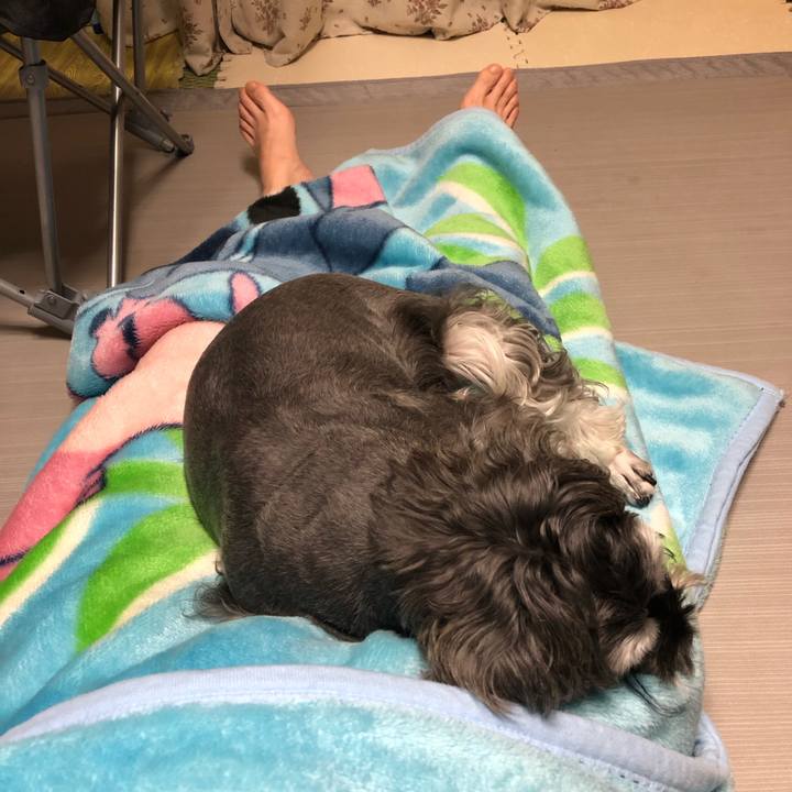 D7be67d1 17be 4fec bc6a d0316a78b08a 1572520985690