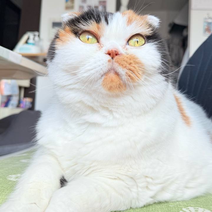 D7bf0e82 d45a 4acf b64f a4966d675bd1 1743608881885