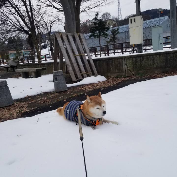 D7bf3d87 8e98 4bbd a323 e317e83a9603 1705980635343