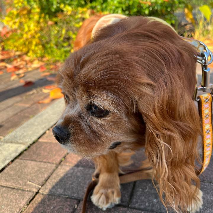 D7bf503f 27de 453c a341 2ab620cfc2ba 1763086126865