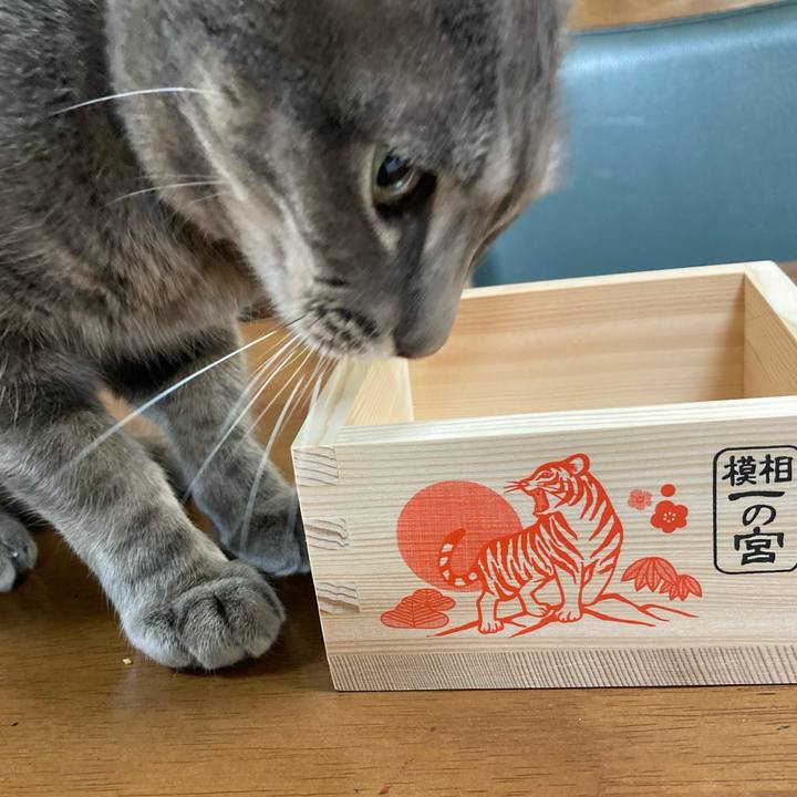 D7bf5e29 96a6 4131 94b2 a0d6e1bf0439 1643978701260