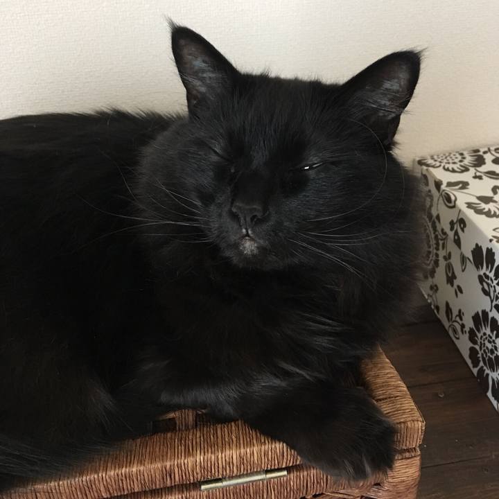 D7bf736d b3f1 452d 9001 4b1c14701609 1557453653758