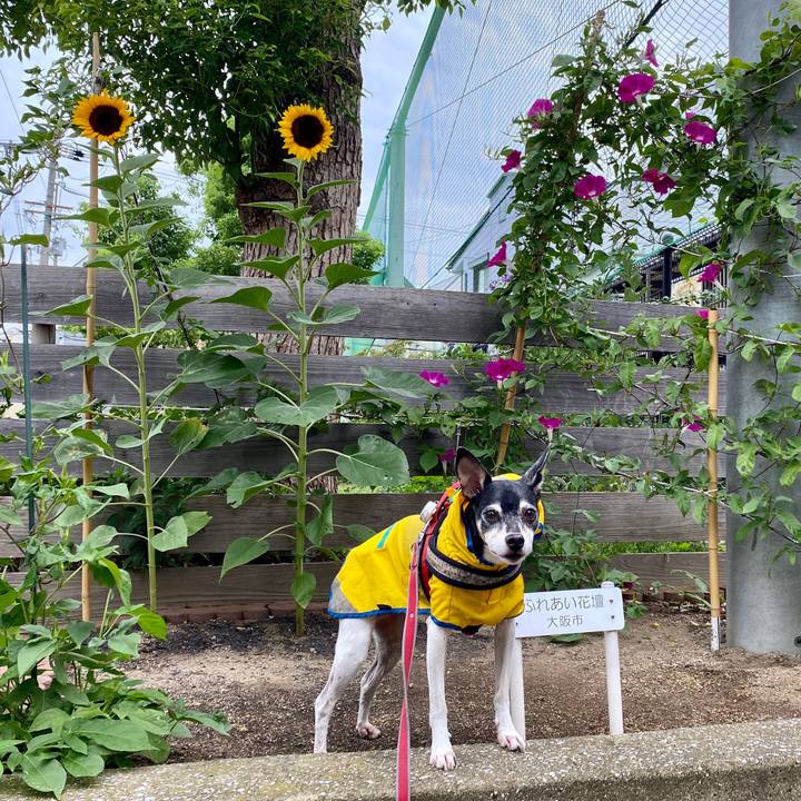 D7bf90c4 3058 4f5d 9448 6c2da8ab694d 1599982279428