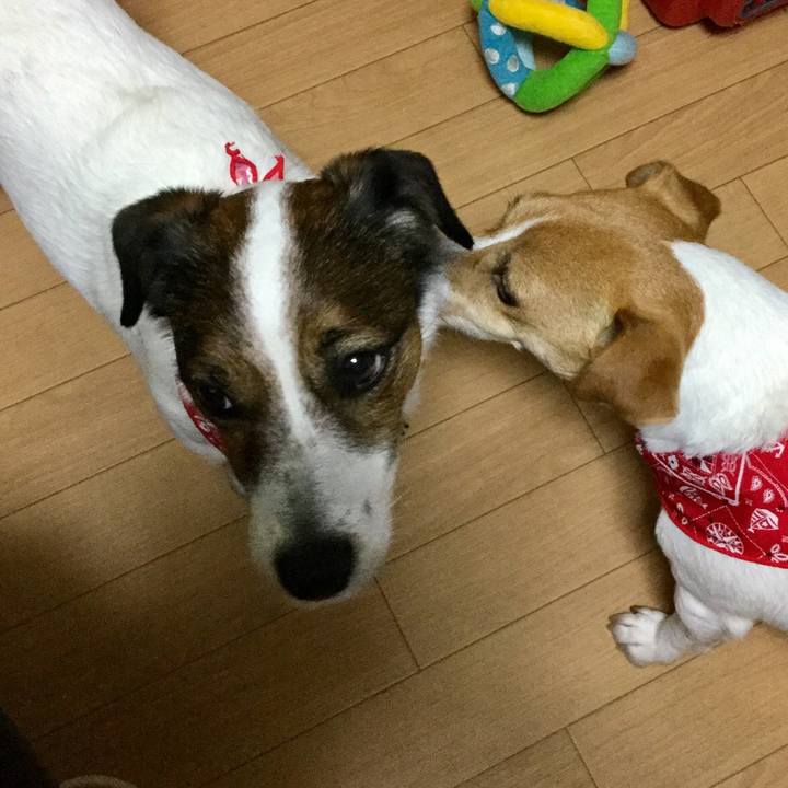 D7bf9efb 19ff 471c 91b2 c9fdaa978870 1556616516303