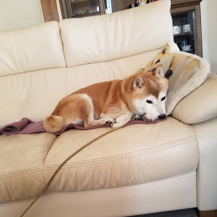 D7bfa62c d5a5 4c5e b316 b7c832d96bb9 1662342241055