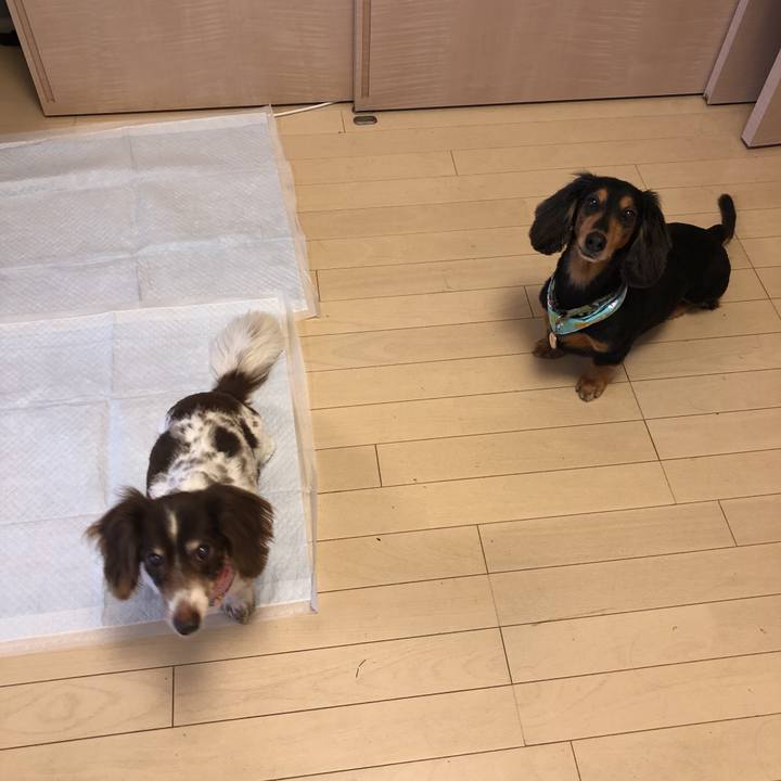 D7bfbab0 6819 440b a5ea 8235a5f91c22 1561763652505