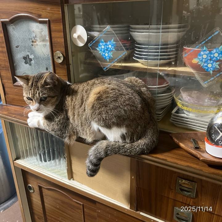 D7bfd18b 0d47 4e7c a09a 889b9122c8e0 1763071072236