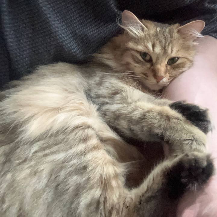 D7bff200 f4a8 4984 8d68 2c763637e757 1686560077080