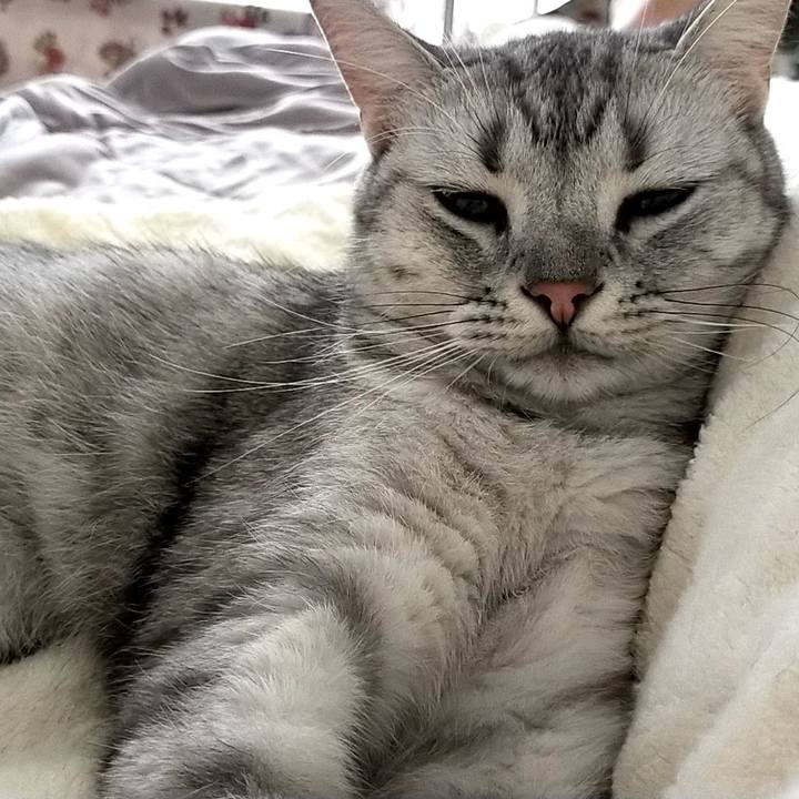 D7bffa64 47a5 4e3a 8d97 876ccdd32fa9 1597015910761