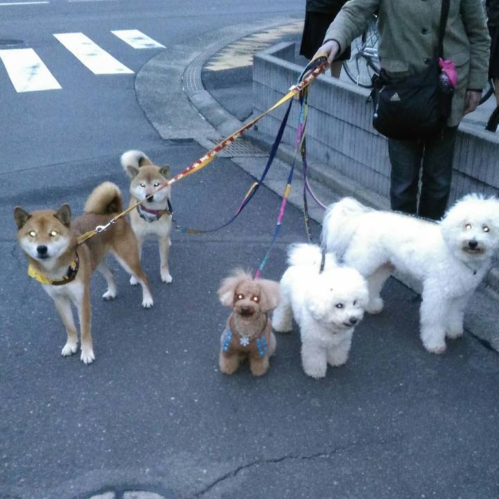 D7c006b6 7d9c 4602 a0e2 eed76d791ba7 1512376638298