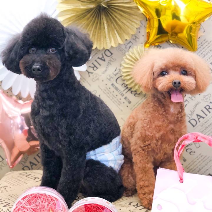 D7c02781 2252 40d0 b22b 916d09e0549d 1615469144972