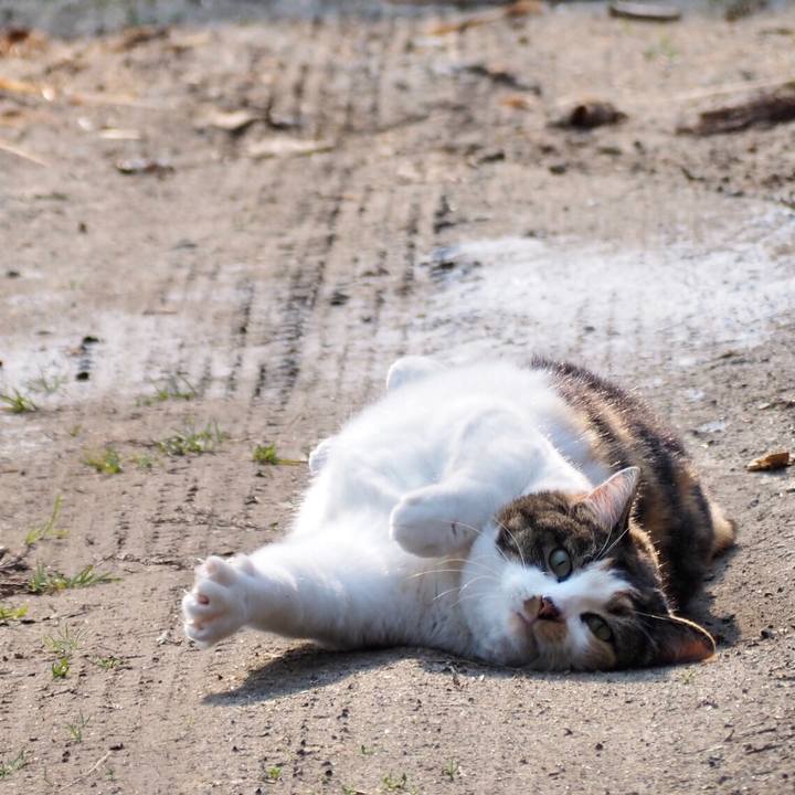 D7c0474b f3b3 44a5 802c 8465424cbc2f 1774789160201